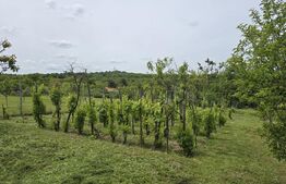  2 case, de vanzare, cu cate 2 camere, 110 mp, zona Viile Satu MAre