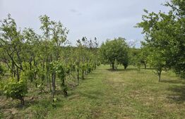  2 case, de vanzare, cu cate 2 camere, 110 mp, zona Viile Satu MAre