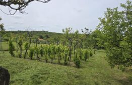  2 case, de vanzare, cu cate 2 camere, 110 mp, zona Viile Satu MAre