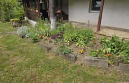  2 case, de vanzare, cu cate 2 camere, 110 mp, zona Viile Satu MAre