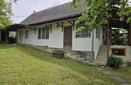  2 case, de vanzare, cu cate 2 camere, 110 mp, zona Viile Satu MAre