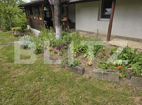 Casa de vânzare 2 camere Sud-Est - 170552CV | BLITZ Satu Mare | Poza4