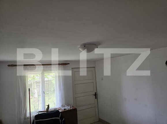 Casa de vânzare 2 camere Sud-Est - 170552CV | BLITZ Satu Mare | Poza15