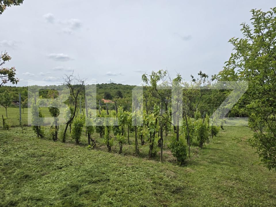 Casa de vânzare 2 camere Sud-Est - 170552CV | BLITZ Satu Mare | Poza23