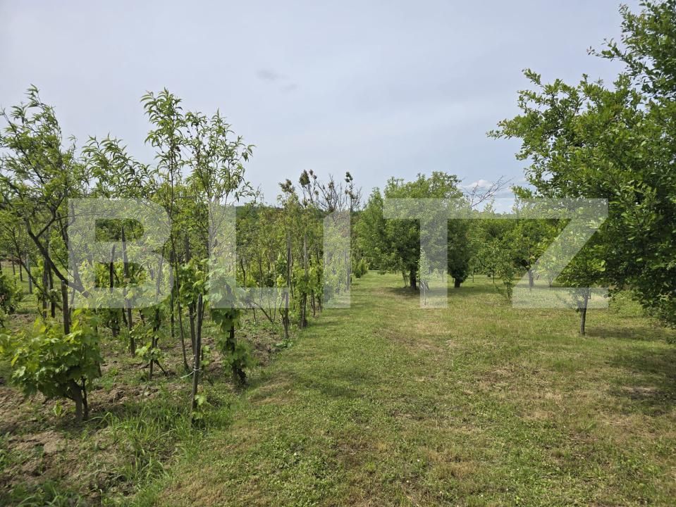 Casa de vânzare 2 camere Sud-Est - 170552CV | BLITZ Satu Mare | Poza22