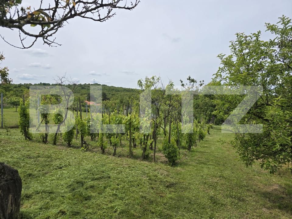 Casa de vânzare 2 camere Sud-Est - 170552CV | BLITZ Satu Mare | Poza25