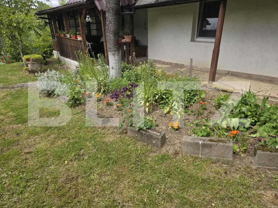 Casa de vânzare 2 camere Sud-Est - 170552CV | BLITZ Satu Mare | Poza4