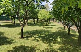 Vila la cheie, Zona Amati, 1241 mp teren