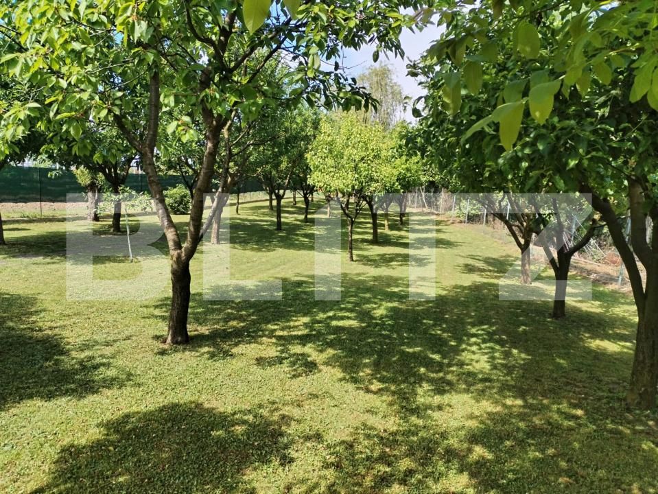 Casa de vânzare 5 camere Amati - 170591CV | BLITZ Satu Mare | Poza17