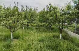 Casa de vanzare, 125 mp utili, Martinesti