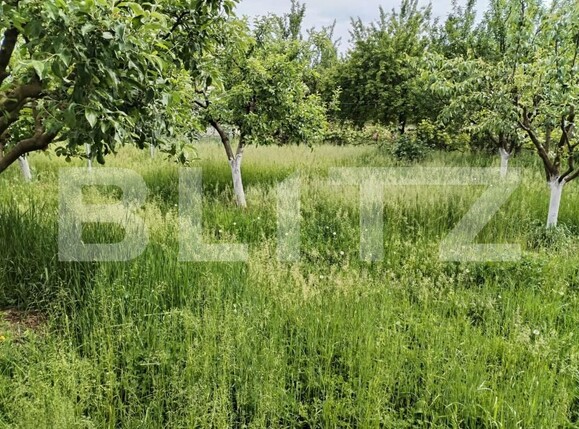 Casa de vânzare 3 camere Mărtineşti - 170594CV | BLITZ Satu Mare | Poza9