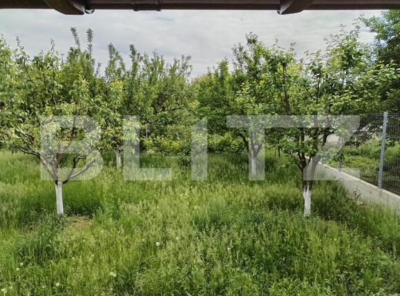 Casa de vânzare 3 camere Mărtineşti - 170594CV | BLITZ Satu Mare | Poza10