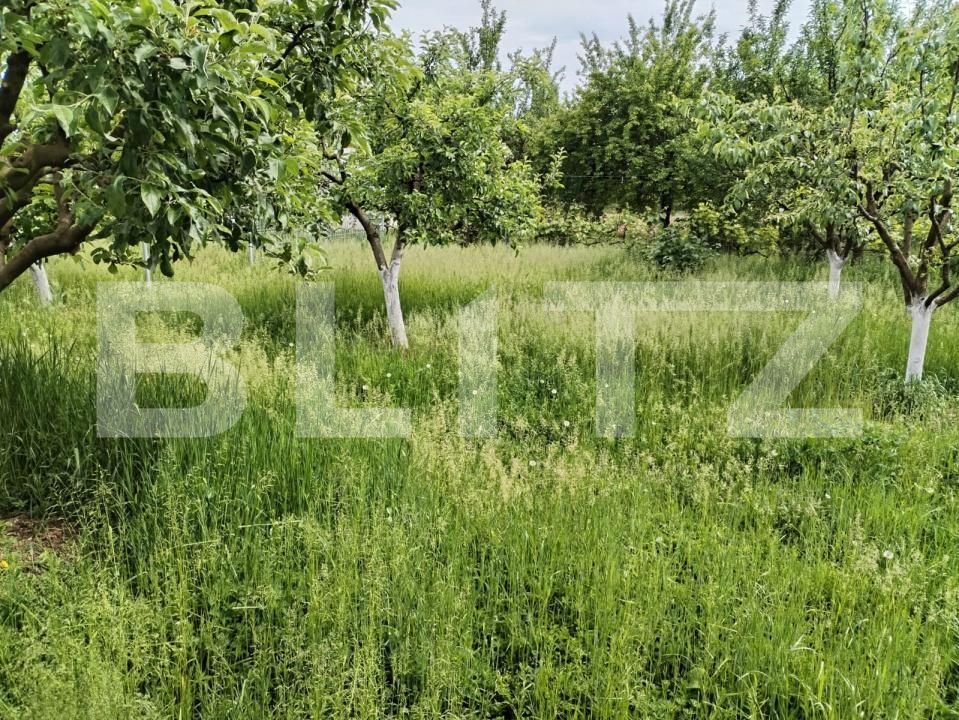 Casa de vânzare 3 camere Mărtineşti - 170594CV | BLITZ Satu Mare | Poza9