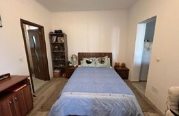 Casă, de vanzare, cu 4 dormitoare + garsoniera, 266 mp utili, zona L Blaga