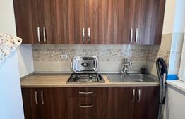 Casă, de vanzare, cu 4 dormitoare + garsoniera, 266 mp utili, zona L Blaga