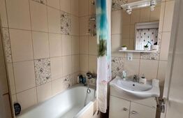 Casă, de vanzare, cu 4 dormitoare + garsoniera, 266 mp utili, zona L Blaga