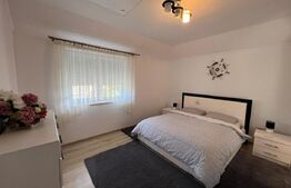 Casă, de vanzare, cu 4 dormitoare + garsoniera, 266 mp utili, zona L Blaga