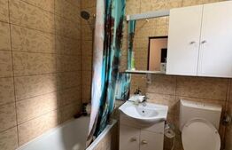 Casă, de vanzare, cu 4 dormitoare + garsoniera, 266 mp utili, zona L Blaga