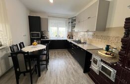 Casă, de vanzare, cu 4 dormitoare + garsoniera, 266 mp utili, zona L Blaga