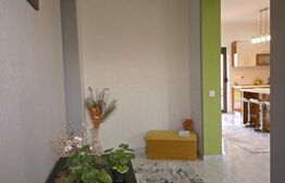 Casa 3 camere, 120 mp, 500 mp teren. Dorolt. Cartier Davilas