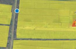 Teren intravilan, 3500 mp. Paulesti