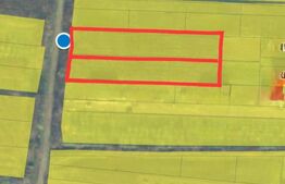 Teren intravilan, 3500 mp. Paulesti