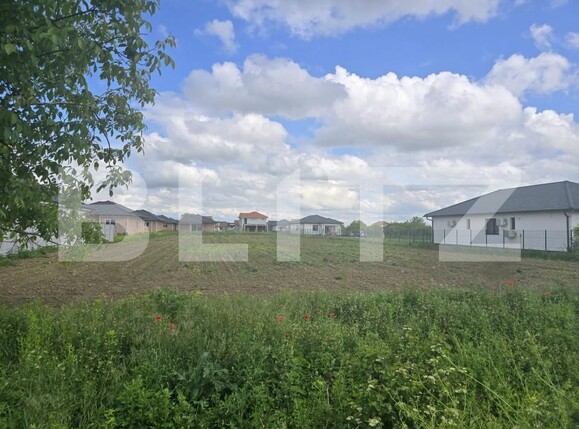 Teren de vânzare Paulesti - 171144TV | BLITZ Satu Mare | Poza1