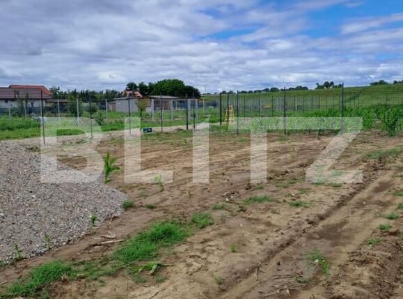 Teren de vânzare Careiului - 171184TV | BLITZ Satu Mare | Poza4