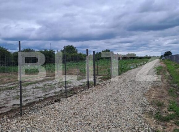 Teren de vânzare Careiului - 171184TV | BLITZ Satu Mare | Poza7