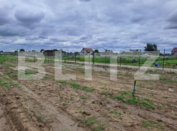 Teren de vânzare Careiului - 171184TV | BLITZ Satu Mare | Poza3