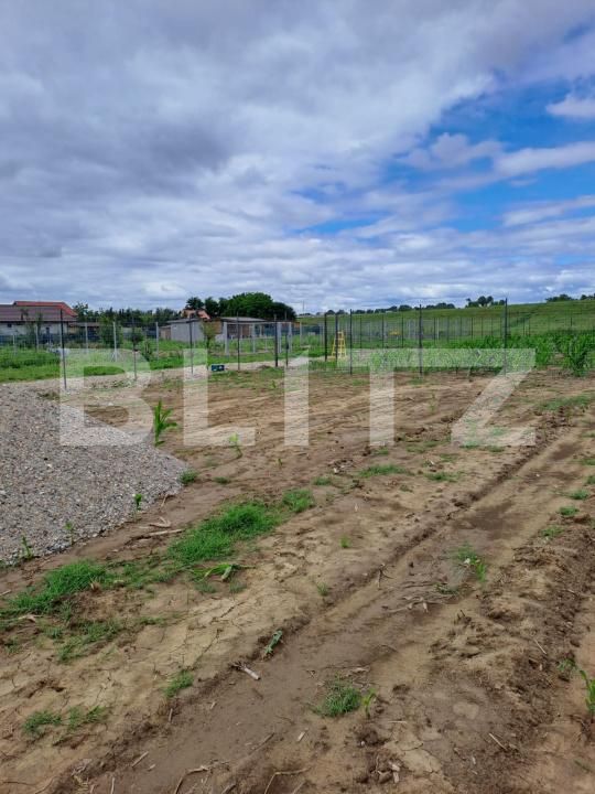 Teren de vânzare Careiului - 171184TV | BLITZ Satu Mare | Poza4