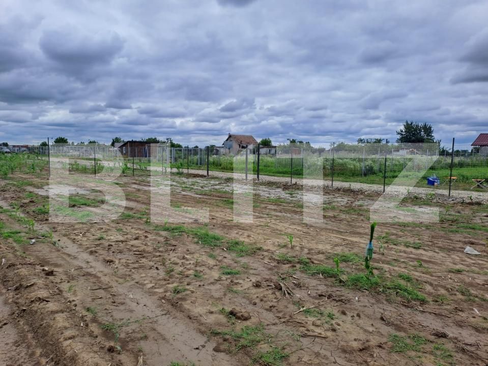 Teren de vânzare Careiului - 171184TV | BLITZ Satu Mare | Poza3