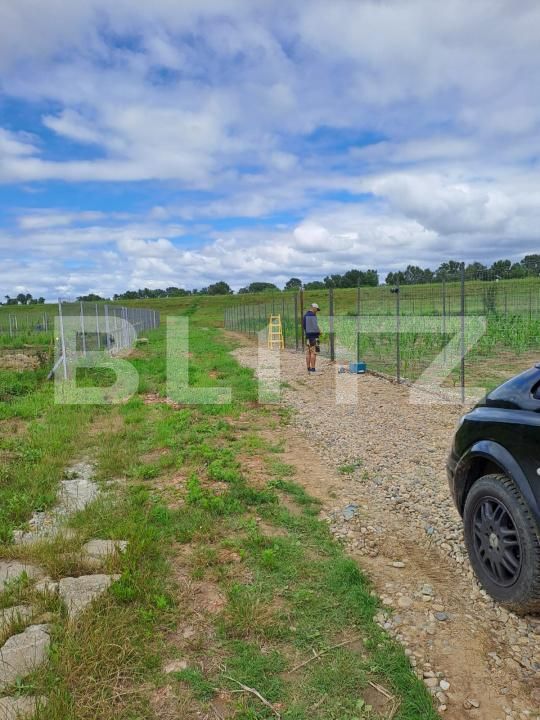 Teren de vânzare Careiului - 171184TV | BLITZ Satu Mare | Poza2