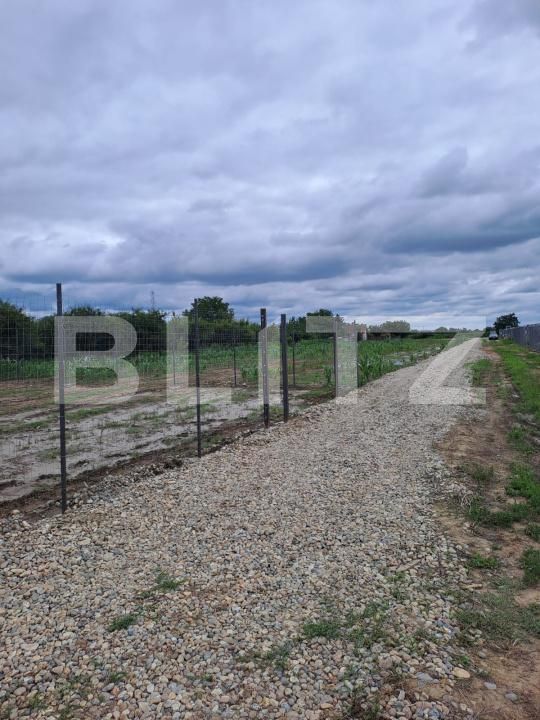 Teren de vânzare Careiului - 171184TV | BLITZ Satu Mare | Poza7