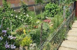 Casa individuala cu anexe, 96mp, zona Lazuri