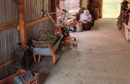 Casa individuala cu anexe, 96mp, zona Lazuri