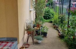 Casa individuala cu anexe, 96mp, zona Lazuri