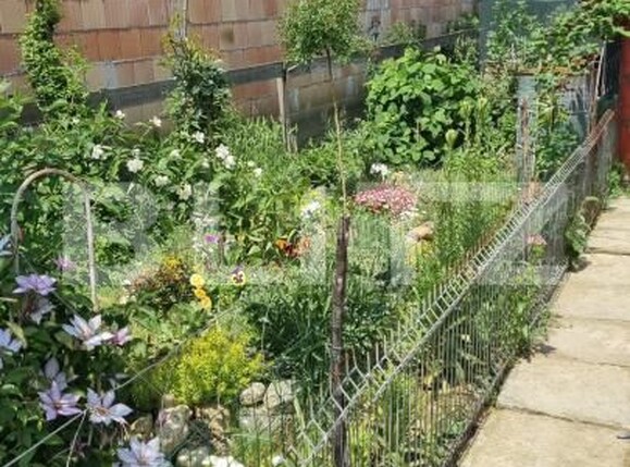 Casa de vânzare 2 camere Lazuri - 171203CV | BLITZ Satu Mare | Poza12