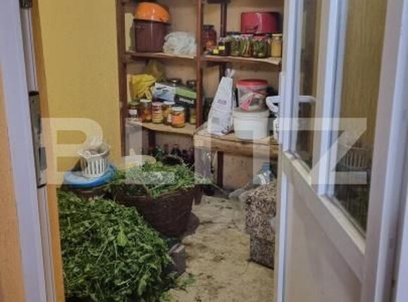 Casa de vânzare 2 camere Lazuri - 171203CV | BLITZ Satu Mare | Poza9