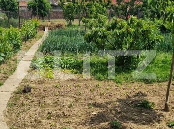 Casa de vânzare 2 camere Lazuri - 171203CV | BLITZ Satu Mare | Poza10