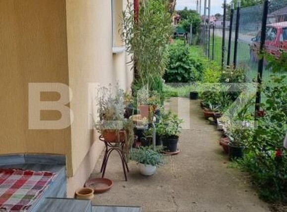 Casa de vânzare 2 camere Lazuri - 171203CV | BLITZ Satu Mare | Poza11
