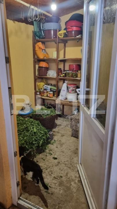 Casa de vânzare 2 camere Lazuri - 171203CV | BLITZ Satu Mare | Poza9