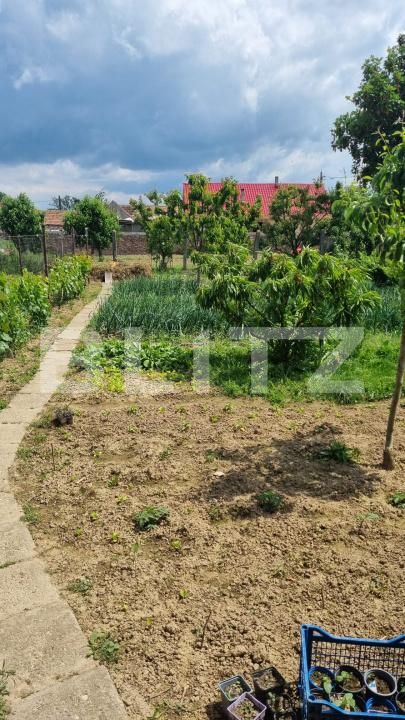 Casa de vânzare 2 camere Lazuri - 171203CV | BLITZ Satu Mare | Poza10