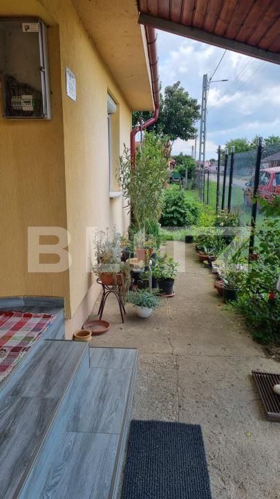 Casa de vânzare 2 camere Lazuri - 171203CV | BLITZ Satu Mare | Poza11