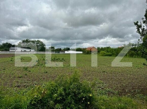 Teren de vânzare Nord - 171299TV | BLITZ Satu Mare | Poza2