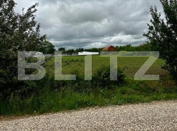 Teren de vânzare Nord - 171299TV | BLITZ Satu Mare | Poza3