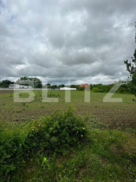 Teren de vânzare Nord - 171299TV | BLITZ Satu Mare | Poza2