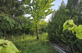 Teren extravilan, 2000 mp, zona Aquastar