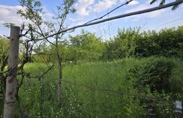 Teren extravilan, 2000 mp, zona Aquastar