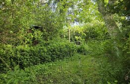 Teren extravilan, 2000 mp, zona Aquastar